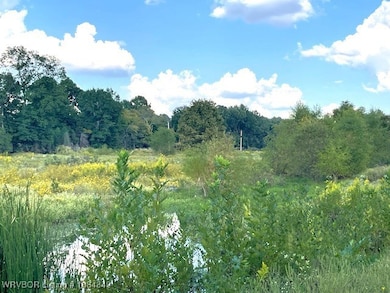 1250 Elder Branch Rd, Hackett, AR 72937 - photo 4