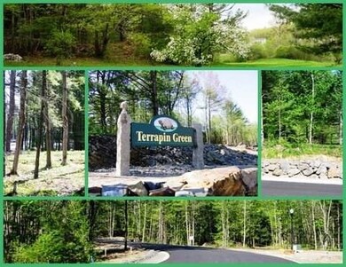 A Springtime Collage of Terrapin Green