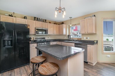 15410 98th Ave, Dyer, IN 46311 - photo 7