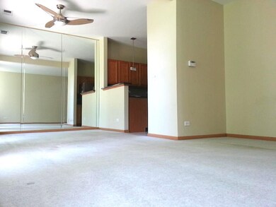 1989 Golden Gate Ln unit 341705, Naperville, IL 60563 - photo 4