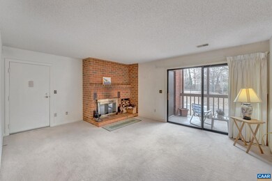 103 Turtle Creek Rd unit 5, Charlottesville, VA 22901 - photo 3
