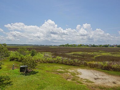 Marsh Views