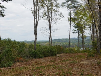 Lot 3 Old Chapman Bridge Rd, Salem, SC 29676 - photo 2