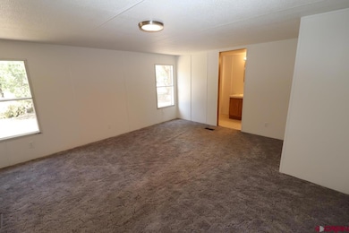 23810 Colorado 184, Dolores, CO 81323 - photo 6
