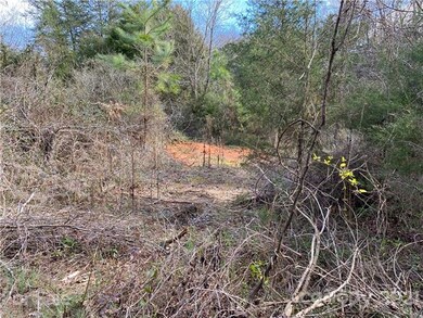 000 Twin Oaks Rd, Statesville, NC 28625 - photo 6