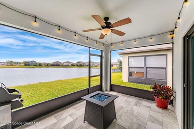 Screened Porch Views