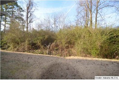 4220 Fieldstone Way, Brighton, AL 35215 - photo 3