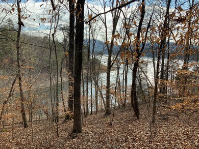 Walk to lake