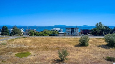 Lot 3 Edwards Dr, Point Roberts, WA 98281 - photo 2