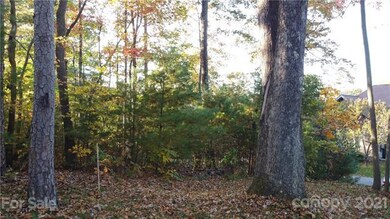 12 Forest Spring Dr unit 36, Asheville, NC 28804 - photo 7