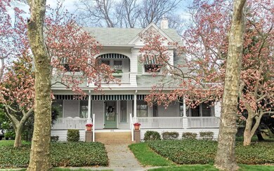 Lovely trees and rich ivy