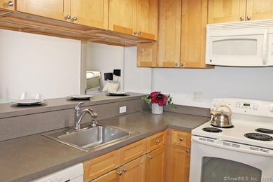 30 Crosby St unit 218, Danbury, CT 06810 - photo 4