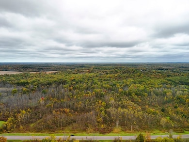 8188 Route 104a, Wolcott, NY 14590 - photo 4