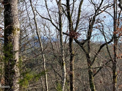 Lot 51 Red Cedar Ln, Sevierville, TN 37876 - photo 7