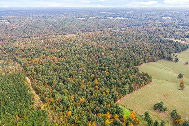 0 Highway 147 unit RTC2310222, Stewart, TN 37175 - photo 2