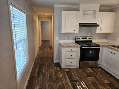 14236 Max Hooks Rd unit U 38, Clermont, FL 34711 - photo 3