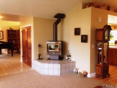 Wood/pellet stove in family room.