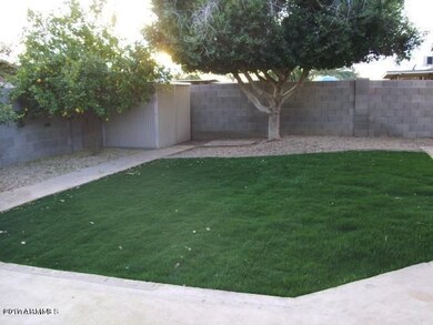 Back yard for Cholla