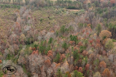 0 Bird Farm Rd, Jasper, AL 35503 - photo 4