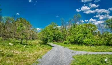 571 Stickney Bridge Rd, Jay, NY 12941 - photo 3