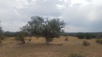 Lot 243 Blye Canyon -- unit 723, Peach Springs, AZ 86434 - photo 6