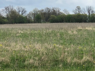 0 N Maple Rd unit 23063944, Ann Arbor, MI 48105 - photo 5