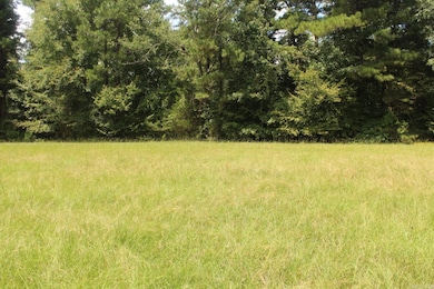 437 Billstown Rd, Delight, AR 71940 - photo 4