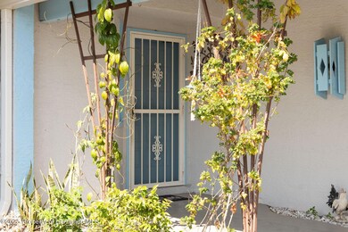 7-web-or-mls-P1277712