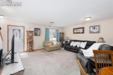 Living room featuring light colored carpet