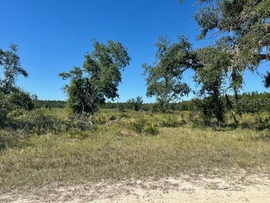 0 NE 35th Ave unit MFRGC535346, Bronson, FL 32621 - photo 2