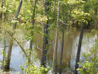 10.57 Acres Hwy 63, Jonesboro, AR 72401 - photo 3