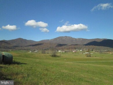 0 Etlan Rd unit 1003267170, Etlan, VA 22719 - photo 6