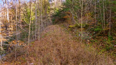 0 Cr-1039, Beattyville, KY 41311 - photo 7