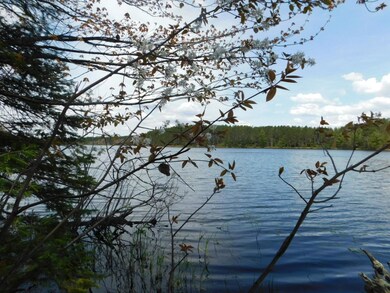 Lot 1 Silver Birch Rd, Tomahawk, WI 54487 - photo 6