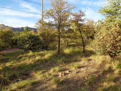 12 Hoot Owl Trail, Payson, AZ 85541 - photo 7