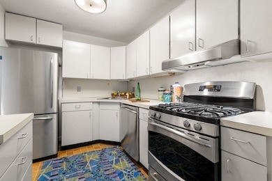 109 Centre St unit B, Brookline, MA 02446 - photo 6