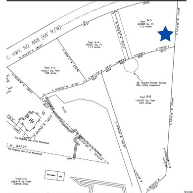 TBD-A4 Highway 668, Conway, SC 29526 - photo 3