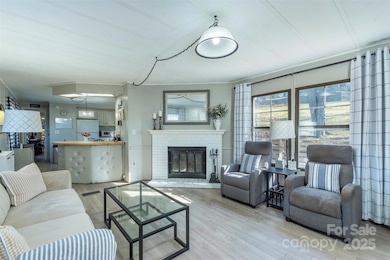 29 Moore St, Woodfin, NC 28804 - photo 2