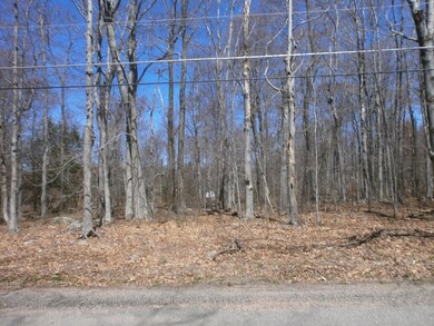 0 Logger Rd, Greene Township, PA 18325 - photo 3