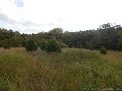 0 S Buffalo Rd unit 1915962, McAlester, OK 74501 - photo 4