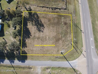 0 E Etienne Rd, Maurice, LA 70555 - photo 2