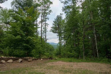 165 Austin Pond Rd, North Creek, NY 12853 - photo 7