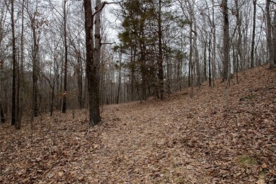 TBD S Hwy 71, Winslow, AR 72959 - photo 2