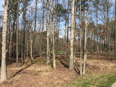 9 Farrington Place Ln, Hanover, VA 23005 - photo 5