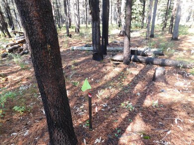 16951 Fontana, Bend, OR 97707 - photo 3