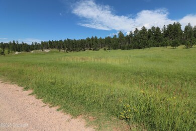 TBD Reynolds Rd, Sundance, WY 82729 - photo 5