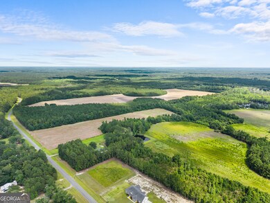 0 Fabled Ln unit LOT 4, Pembroke, GA 31321 - photo 7