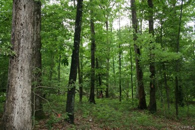 00 Prince George Dr, Prince George, VA 23842 - photo 4