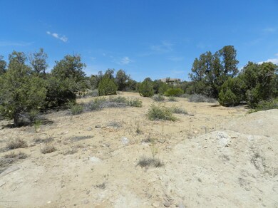 6531 Mulligans Rd, Farmington, NM 87402 - photo 3