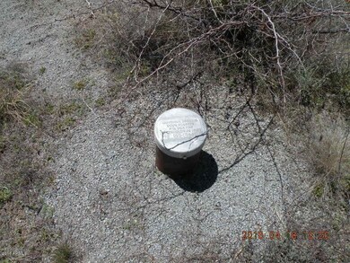 WellHead